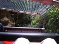 Scenic Railway